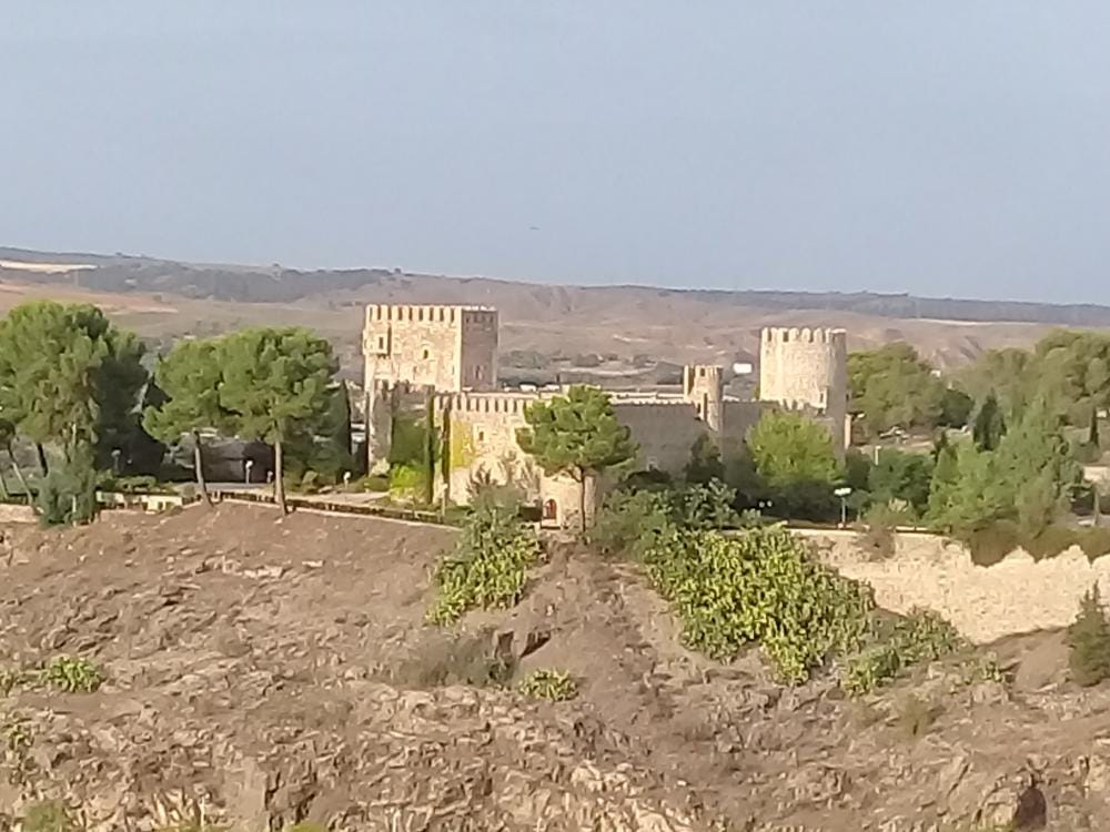 Foto 7 de 7