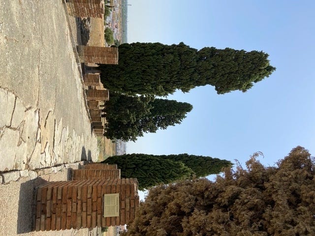 Foto 2 de 10