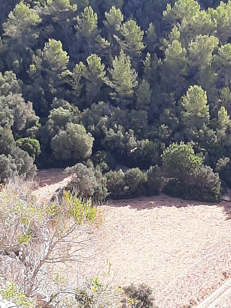 Foto 2 de 2