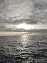 Image {1} of {2}