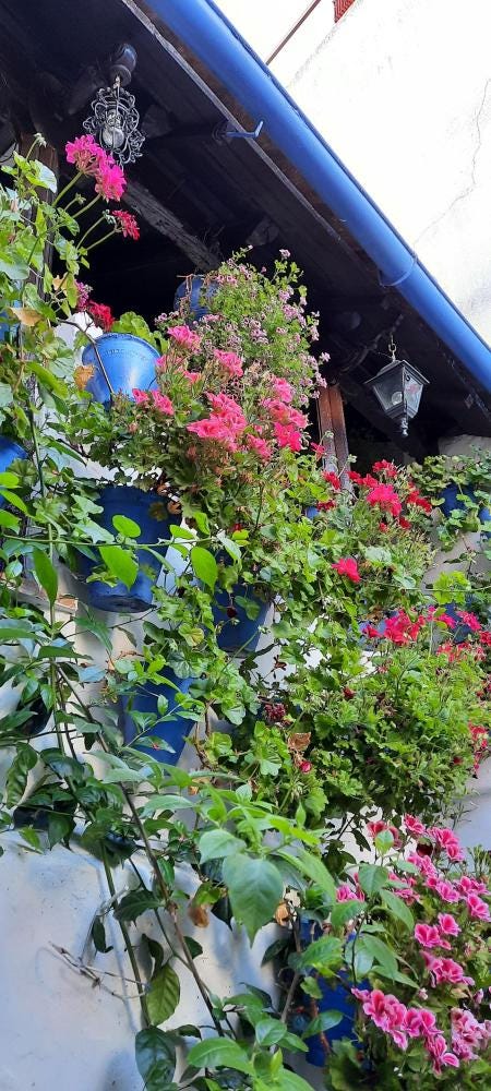 Foto 2 de 3