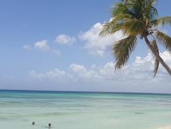 Photo {1} sur {2}