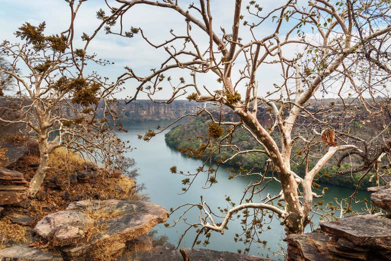 Admirando o rio Chambal