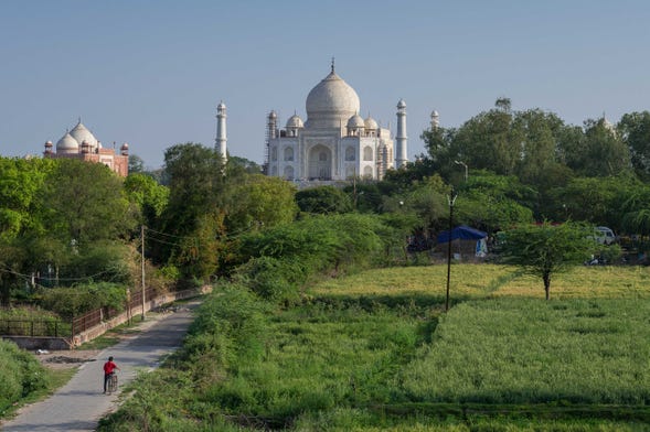 Taj Mahal Careers and Employment
