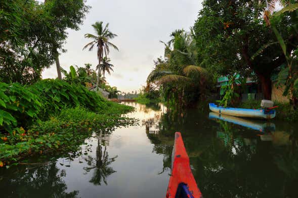Alleppey Backwater Boat Tour