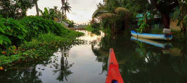 Tour por los canales de Alleppey