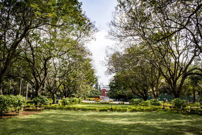 La tranquilidad del parque Cubbon