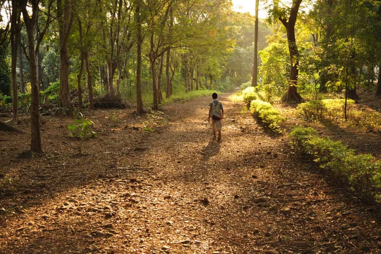 Le parc national Sanjay Gandhi