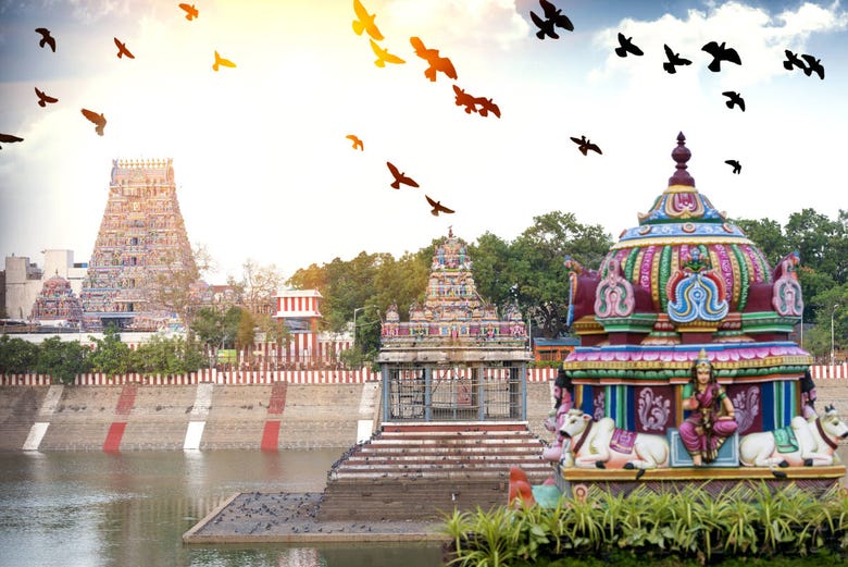Panoramica del Tempio Kapaleeshwarar