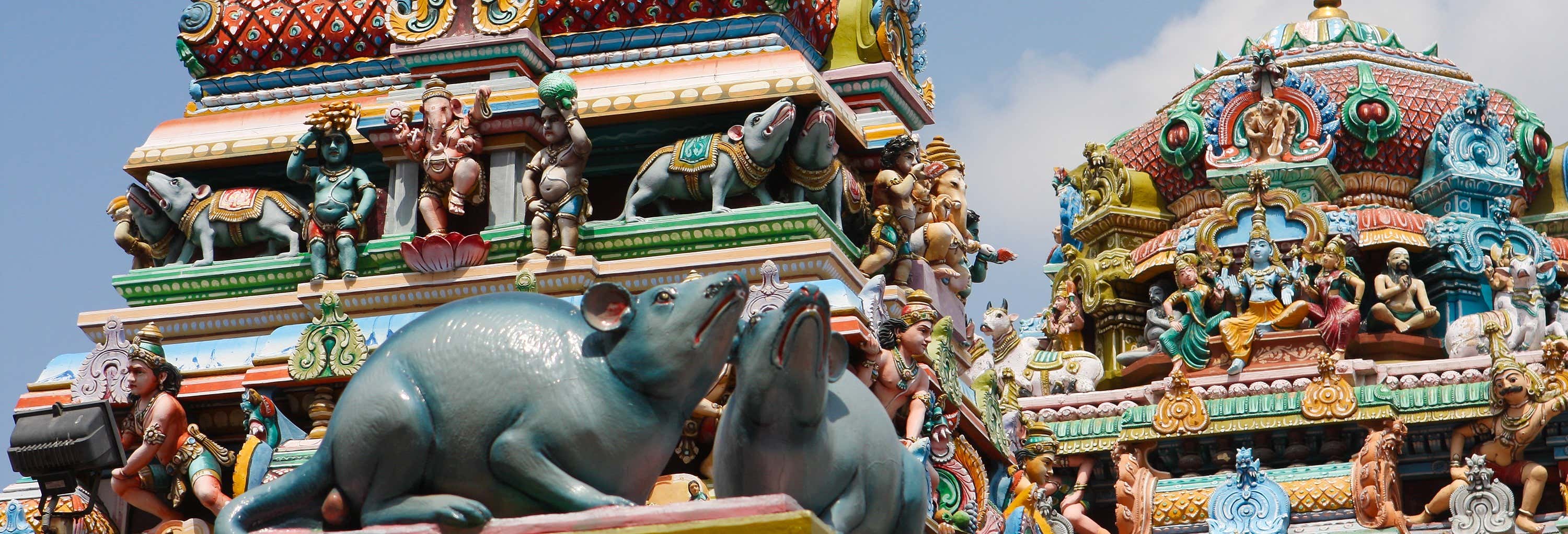 Visitas guiadas y free tours en Chennai