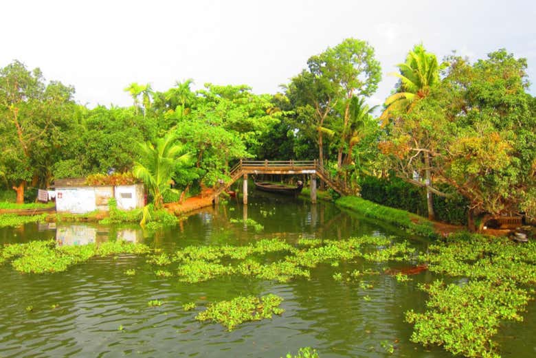 Les eaux tranquilles de Kerala