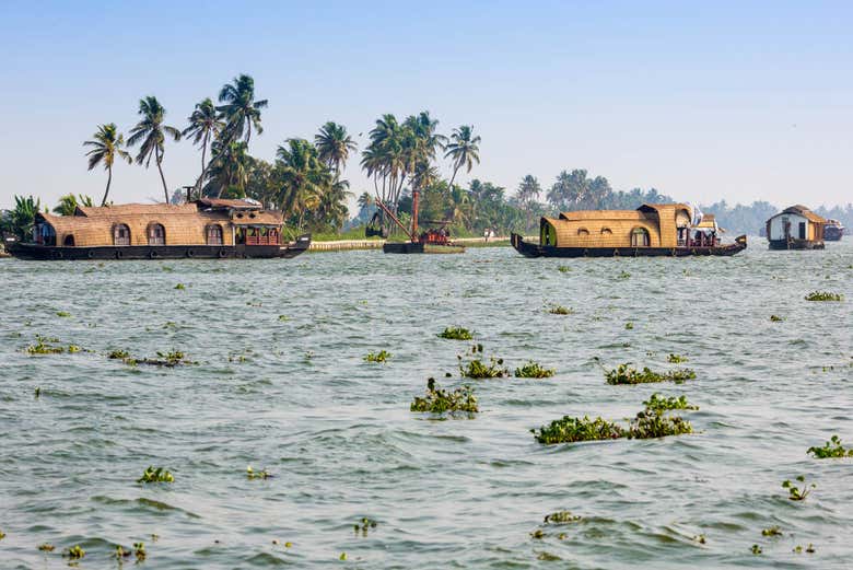 Traversée du littoral d'Alappuzha