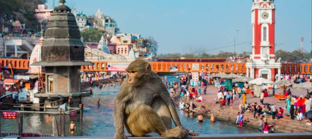 Excursión privada a Haridwar