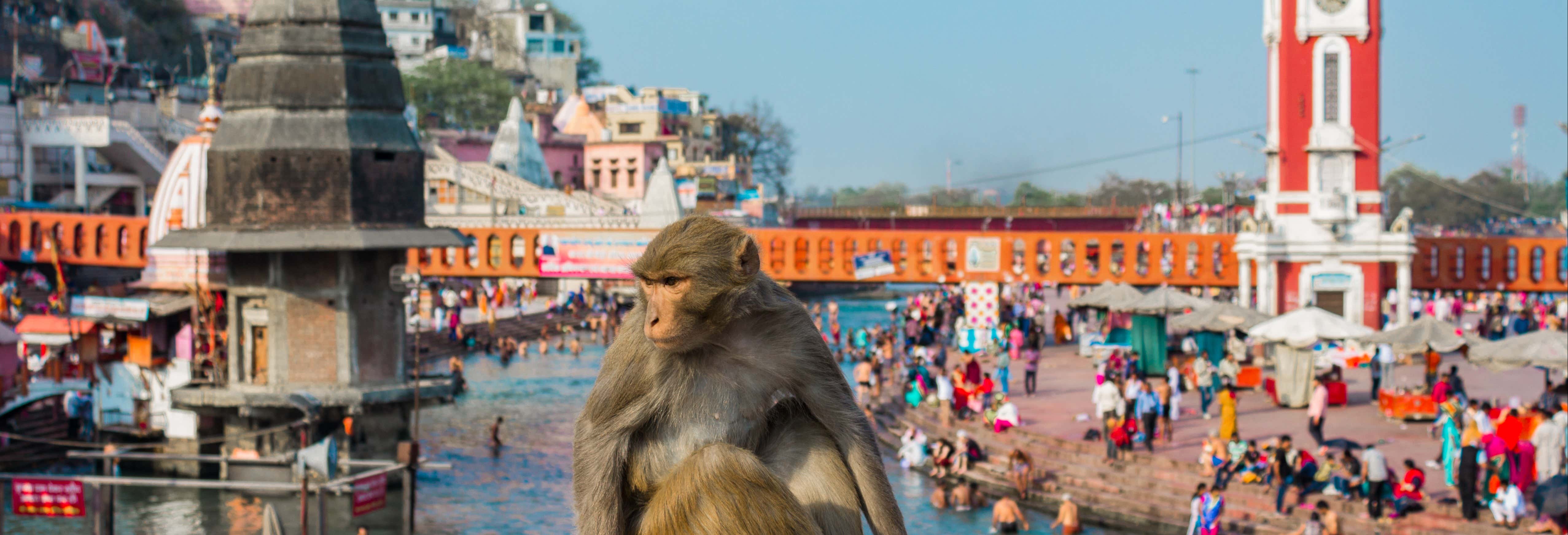 Excursiones de un día en Delhi