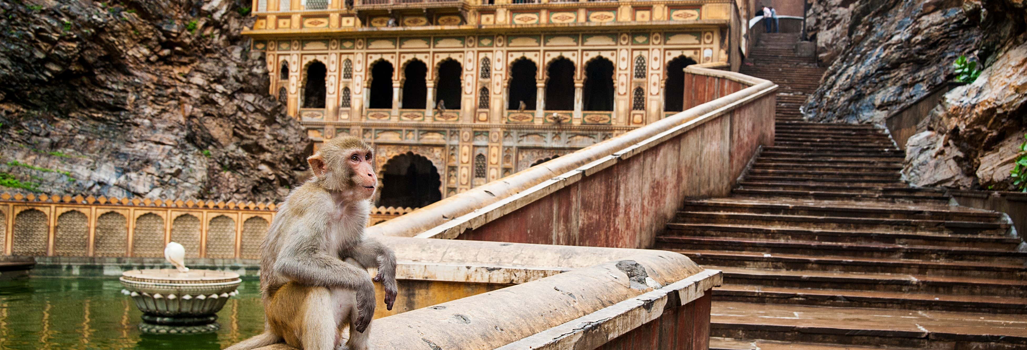 Excursiones de un día en Delhi