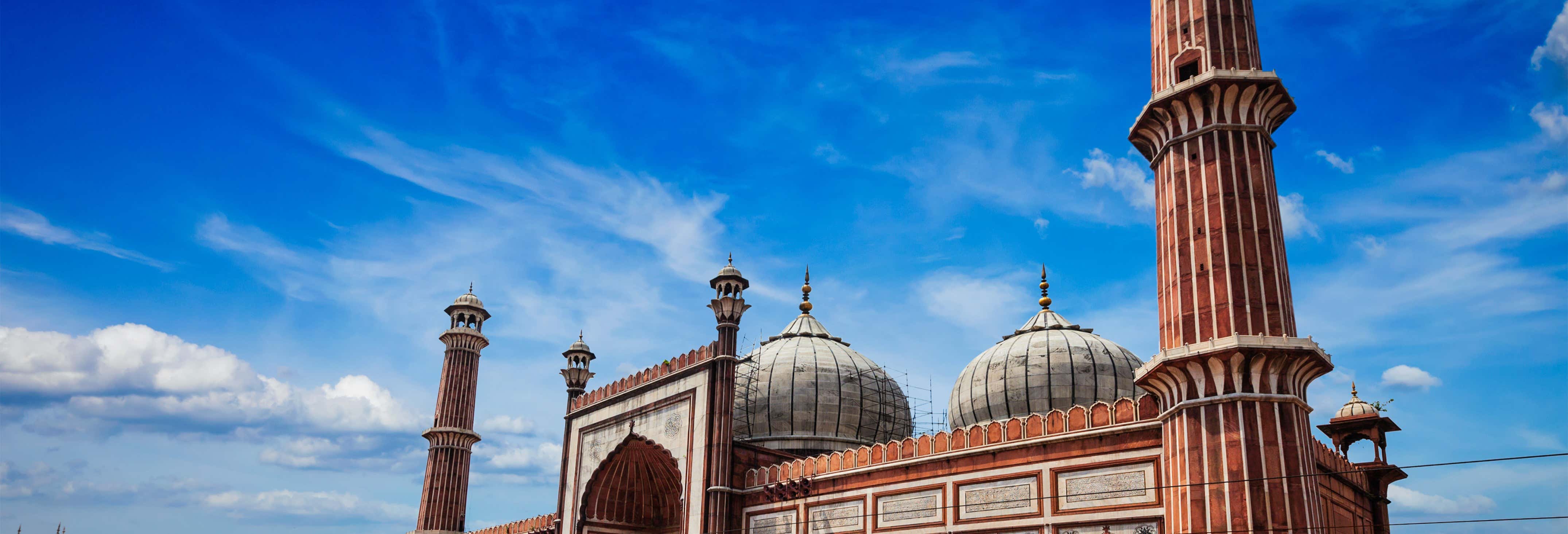 Free Tour en Delhi
