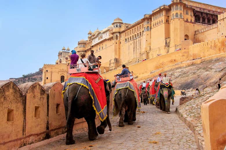 Balade en éléphant jusqu'au fort d'Amber