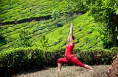 Ritiro yoga di 4 giorni a Jhansi