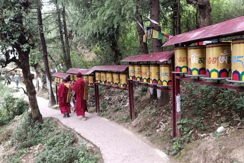 Recorriendo McLeod Ganj