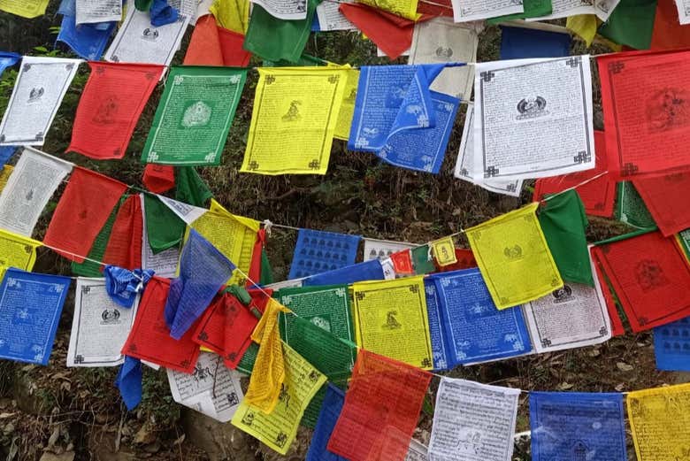 Banderines de colores en McLeod Ganj