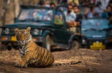 Safári de 2 dias por Ranthambore