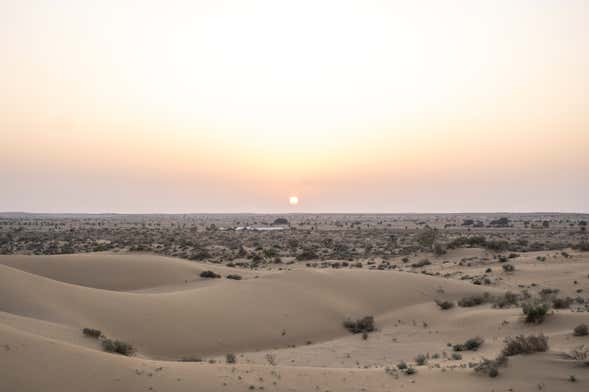 Excursión al desierto de Thar