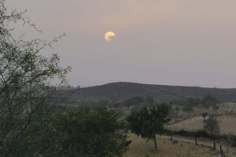 Anoitecer no deserto de Thar