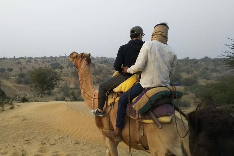Ruta en camello por el desierto