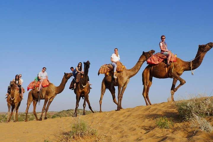Balade à dos de chameau