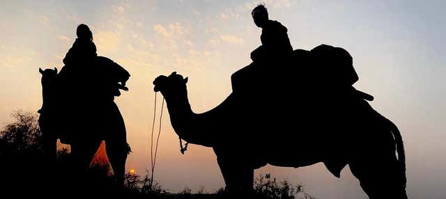 Noite no deserto de Thar