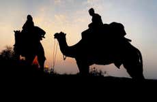 Night in the Thar Desert