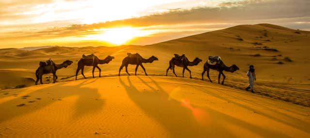 Paseo privado en camello por el desierto de Thar