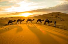 Paseo privado en camello por el desierto de Thar