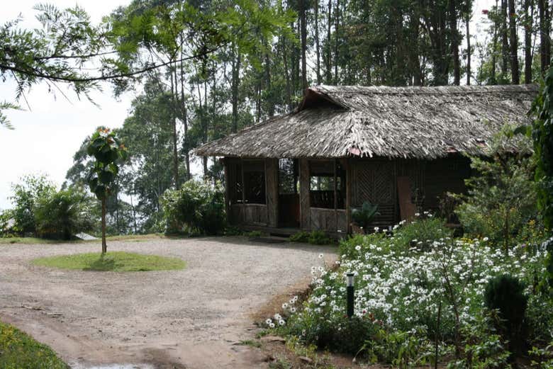 Maisons traditionnelles dans les forêts de Munnar