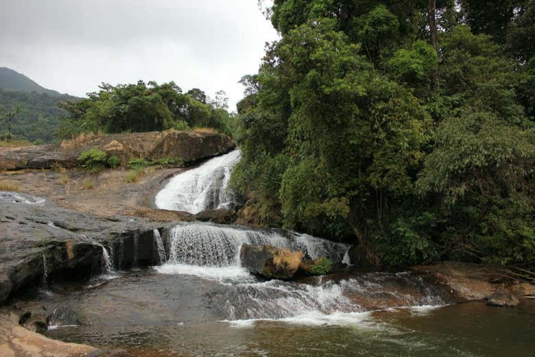 Admirez les chutes d'eau autour de Munnar