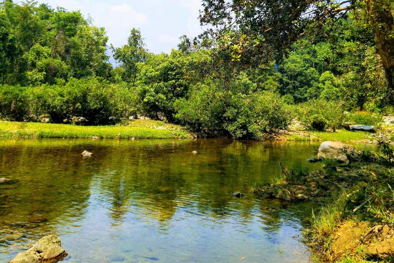 Nature d'Anakulam