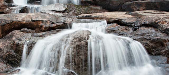 Tour privado en 4x4 por las cascadas de Munnar