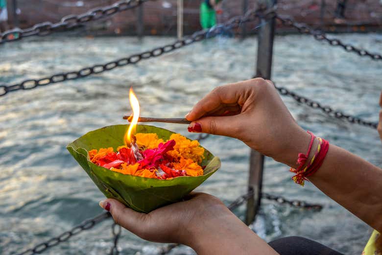 Flores como ofrenda del ritual Aarti