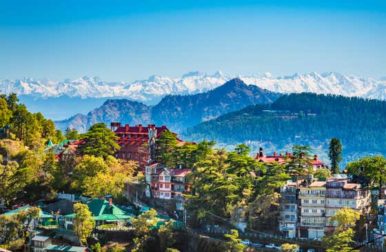 Shimla