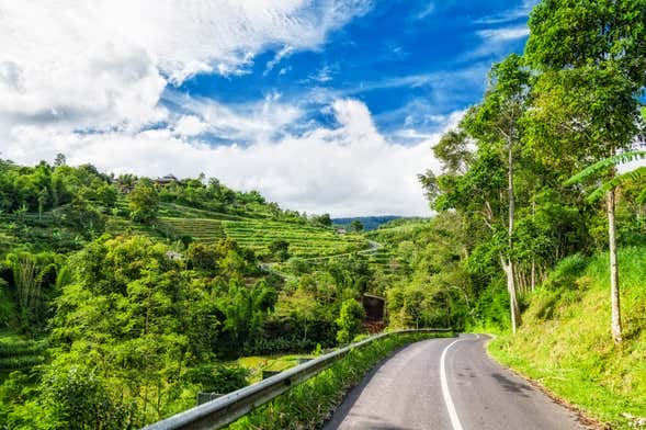 Alquiler de coche con conductor en Bali