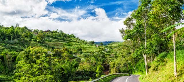 Alquiler de coche con conductor en Bali