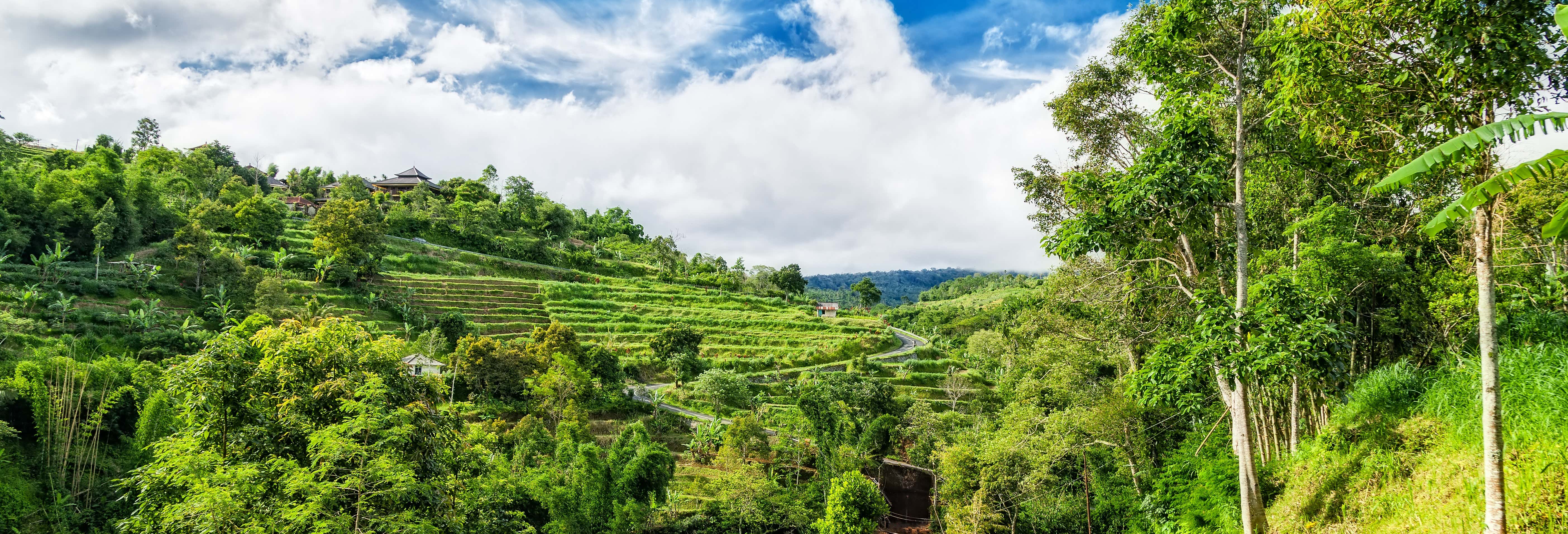 Excursiones de un día en Bali