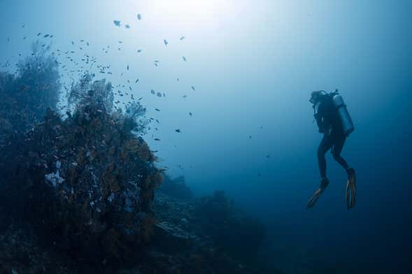 Scuba Diving in Bali