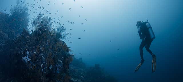 Buceo en Bali