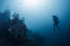 Buceo en Bali