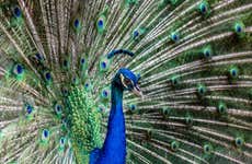 Ingresso do Bali Bird Park