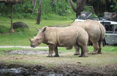 Ingresso do Safari and Marine Park