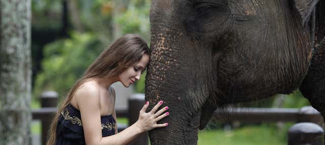 Excursion à Elephant Safari Park