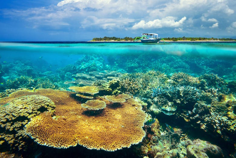 Recife de corais nas Ilhas Gili