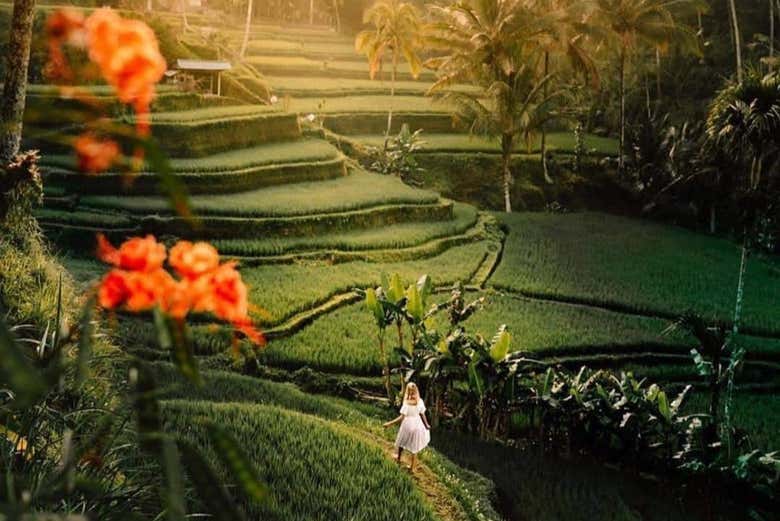 Discover Ubud's stunning nature